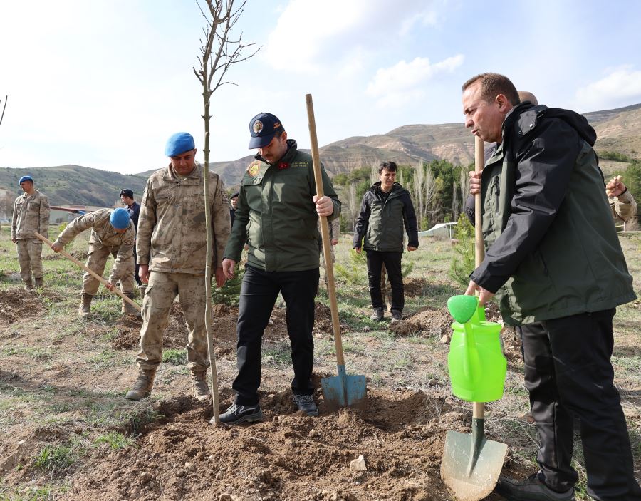3 milyon fidan dikeceğiz