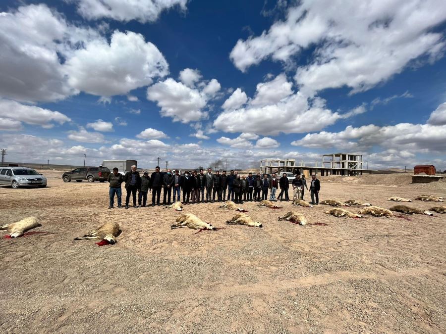 Çiftçiler yağmur duasına çıktı