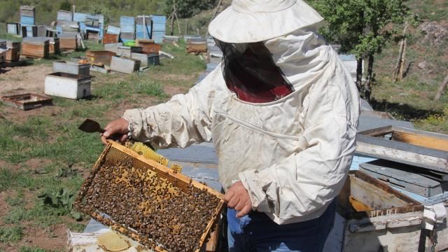 Zara balının tescillenmesi arıcıları sevindirdi