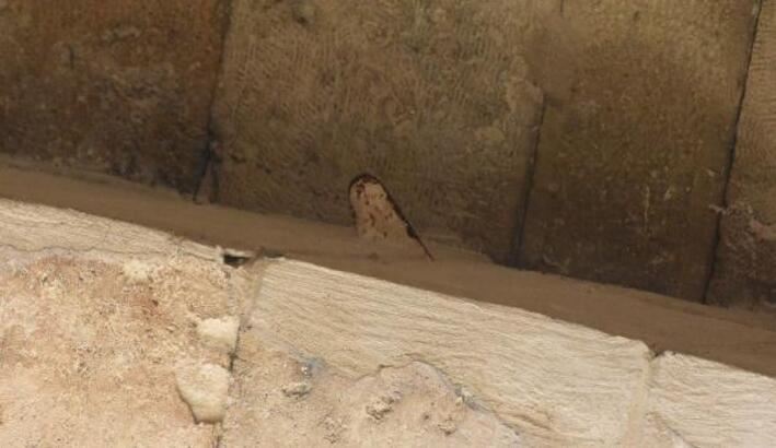 Restorasyonda 'Mala' unuttular