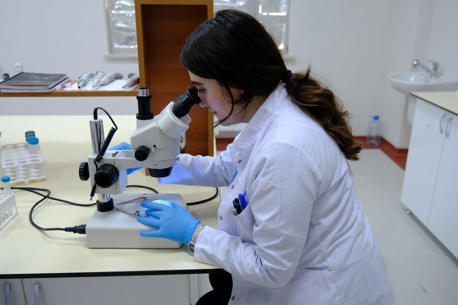 Hayvan deneylerinin önüne geçiyor (Video)