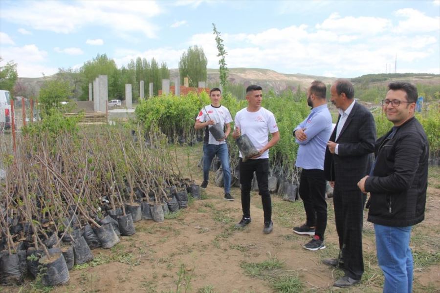 Zara'da meyve fidanı dağıtıldı