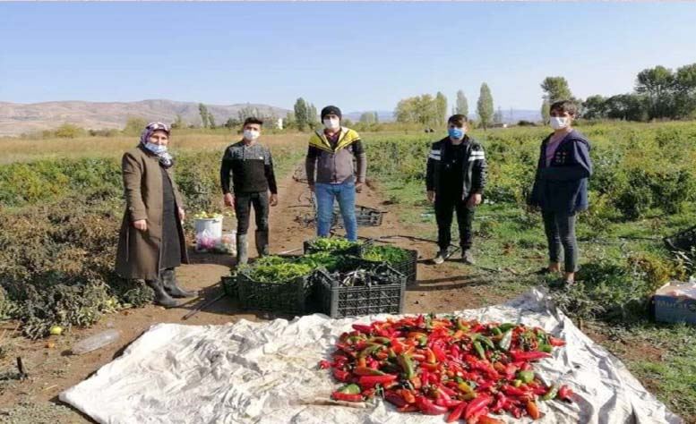 ÜLKE EKONOMİSİNE KATKI SAĞLIYORLAR -VİDEOLU-