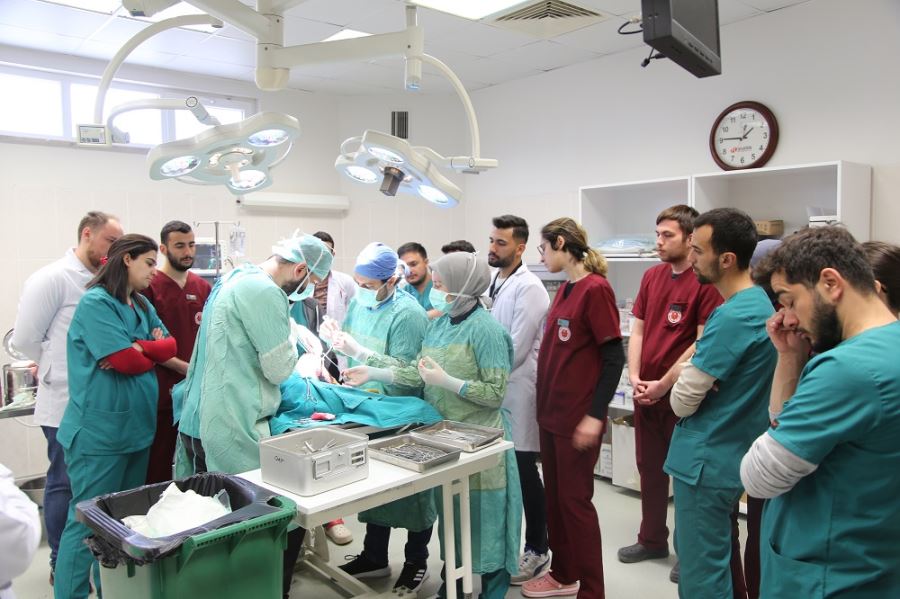 K9, SAĞLIĞINA KAVUŞTURULDU - videolu-