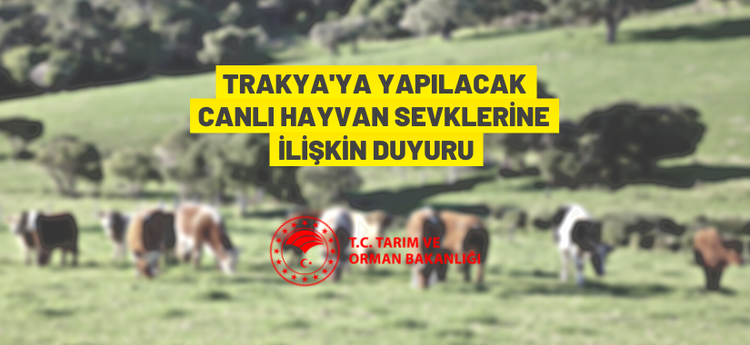 Trakya'ya yapılacak canlı hayvan sevklerine ilişkin duyuru