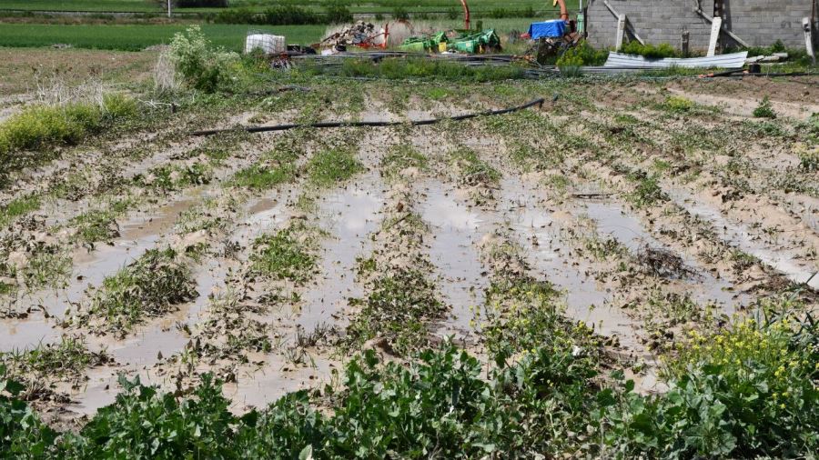 Gemerek'te tarım arazileri zarar gördü