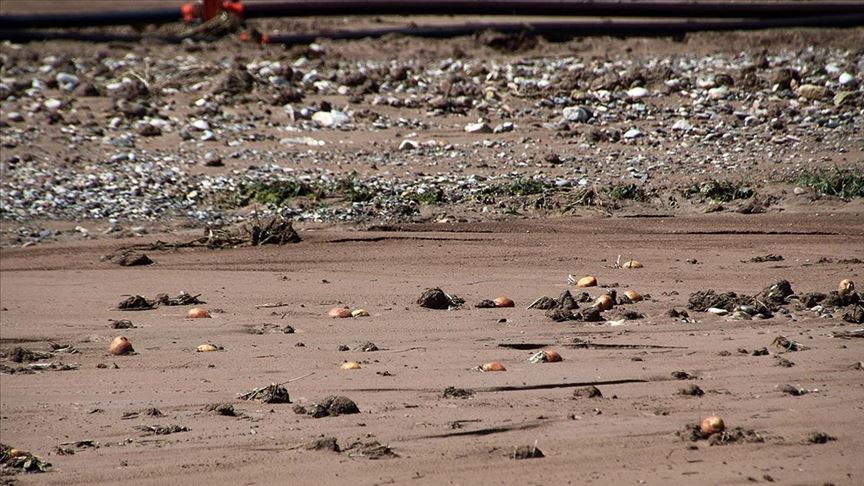 Sağanak ve dolu tarım arazilerine zarar verdi