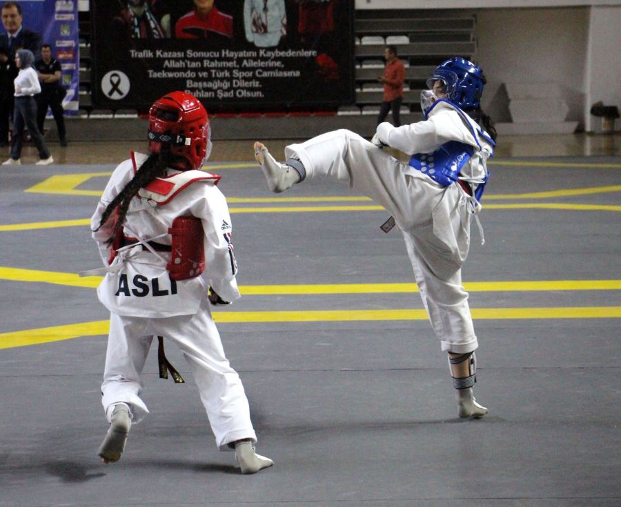 Sivas tekvandoya doydu