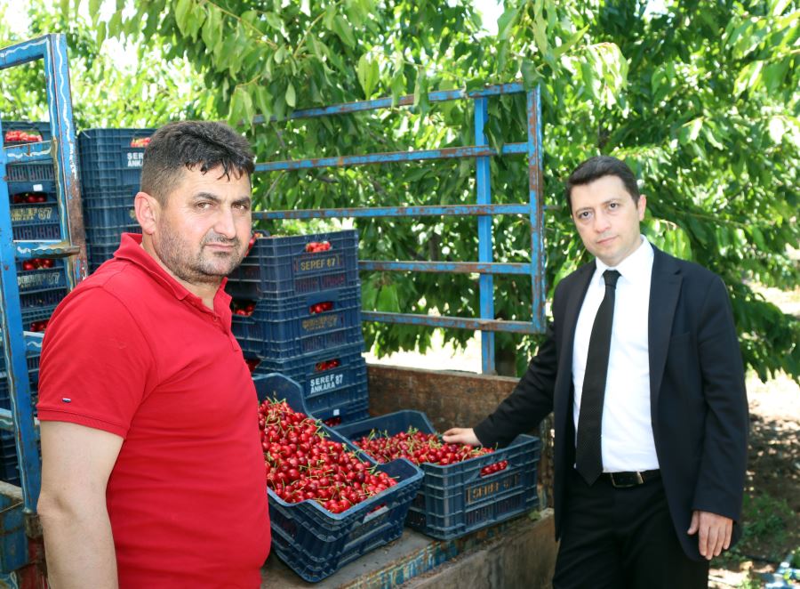 CK Çamlıbel üreticinin yanında