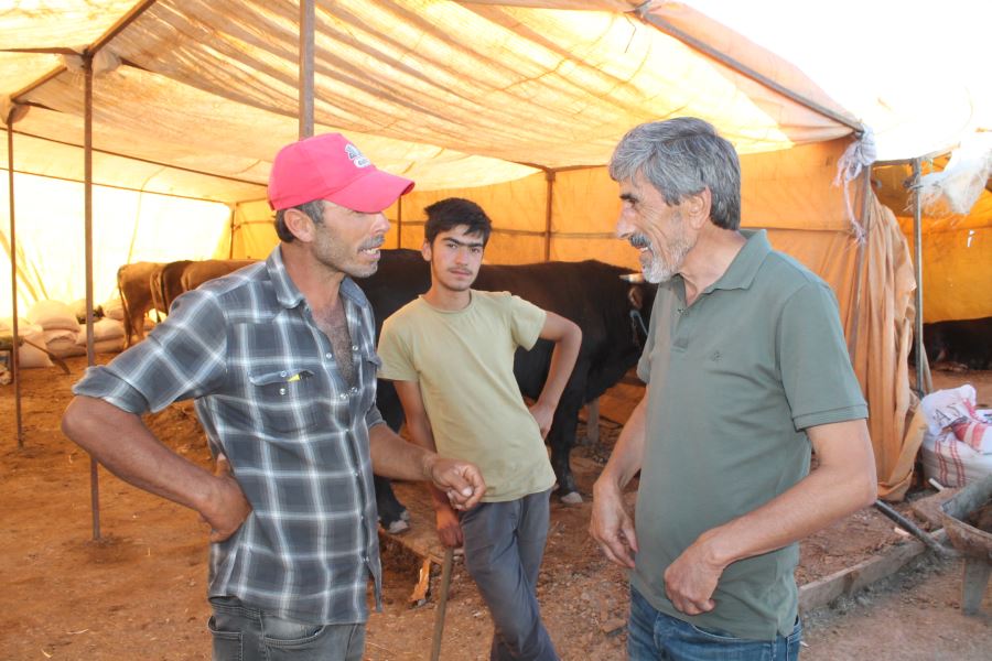 Kurban pazarında fiyatlar uygun