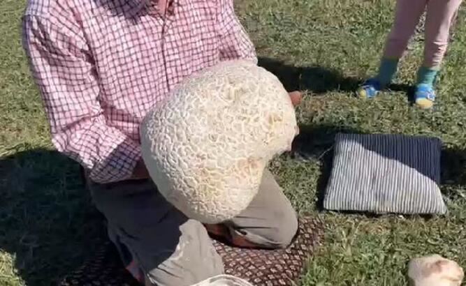 15 kiloluk mantar buldu