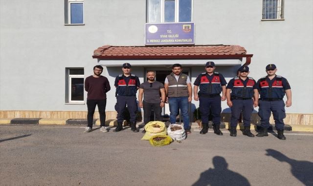 Salep soğanı toplayanlara ceza yağdı