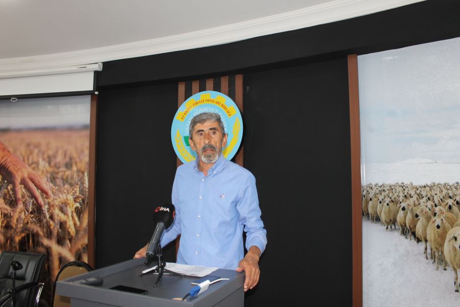 Buğdayda yüksek verim bekleniyor