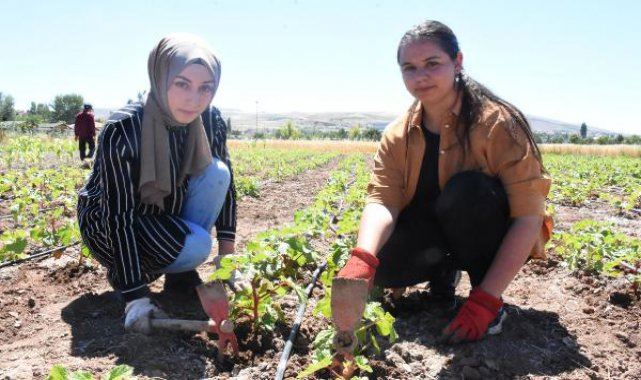 ÖĞRENCİLERE ORGANİK TARIM EĞİTİMİ