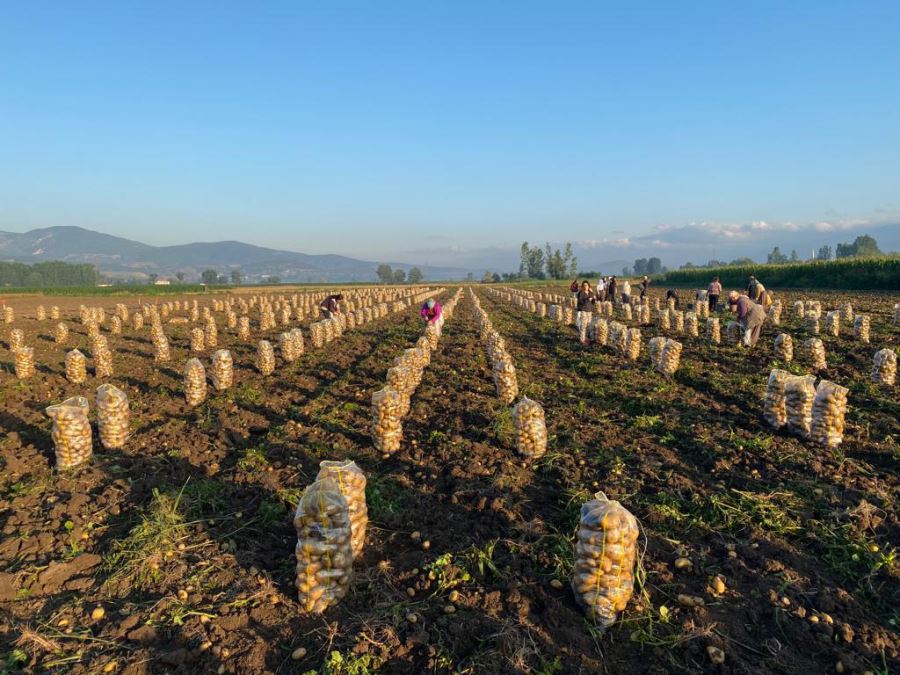 ÇİFTÇİLERE BÜYÜK DESTEK