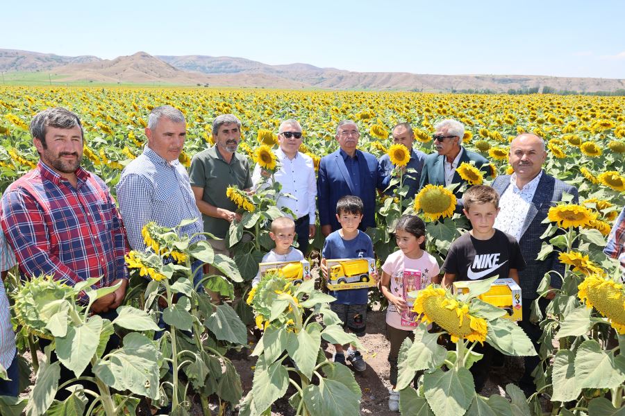 AYÇİÇEK ÜRETİMİNDE REKOR