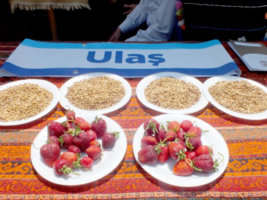 Sivas'ta "Gardaşlık Festivali" kapsamında Ulaş ilçesi tanıtıldı