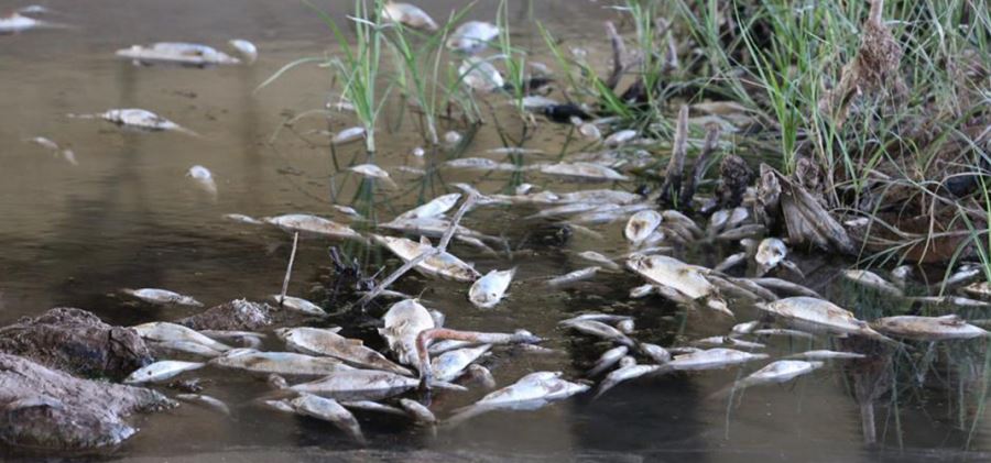 KIZILIRMAK’TA SORUN YOK