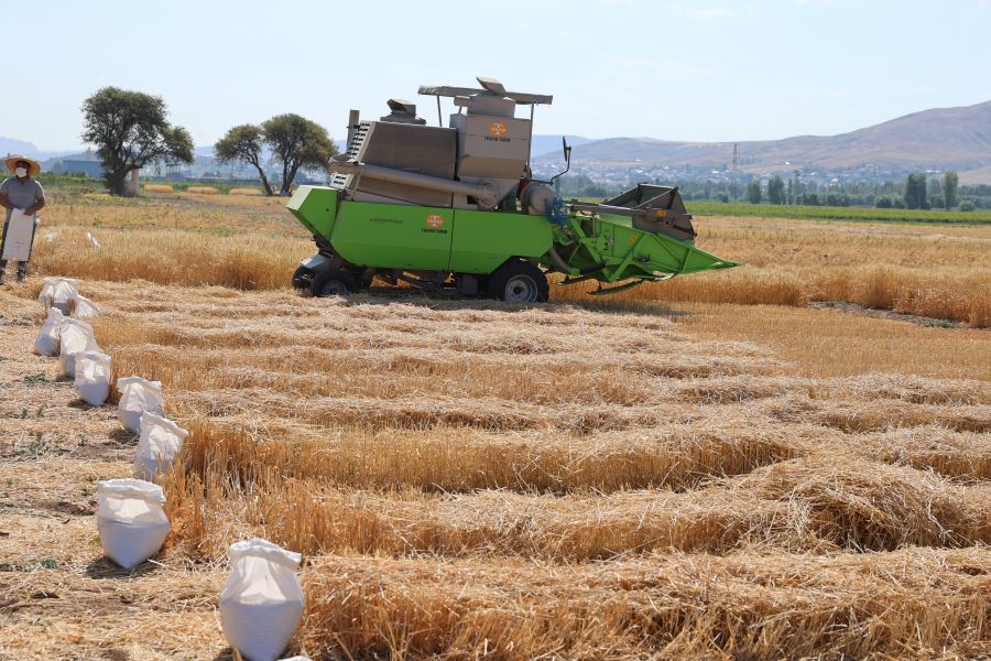 GIDA SIKINTISINA ÇARE OLACAK -videolu-