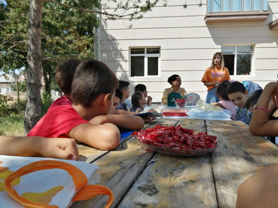 Ulaş'ta Kur'an kursu öğrencilerine kurumların faaliyetleri tanıtılıyor