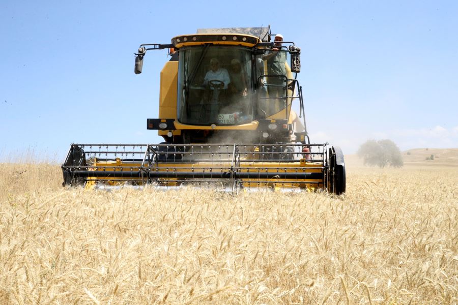 Sivas'ta kuraklık geçti, buğdayda verim arttı -videolu-