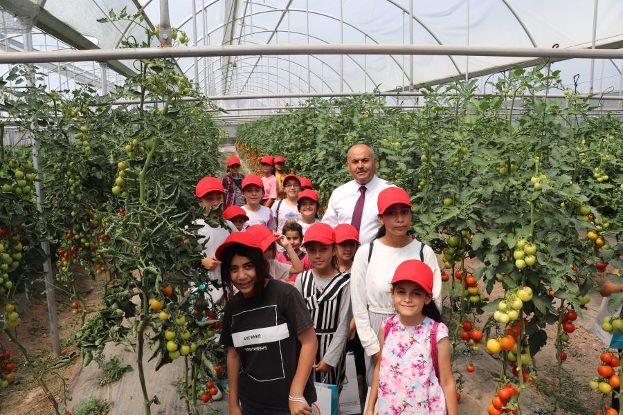 UYGULAMA BAHÇESİNİ GEZDİLER