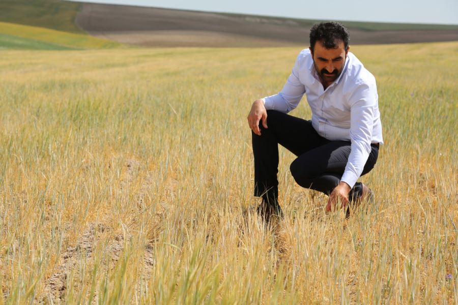 ALIMLAR 15 EKİM’E UZATILMALI -videolu-