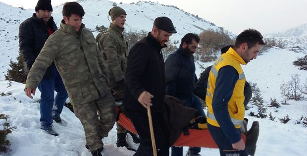 DOMUZLAR ÇOBANA SALDIRDI