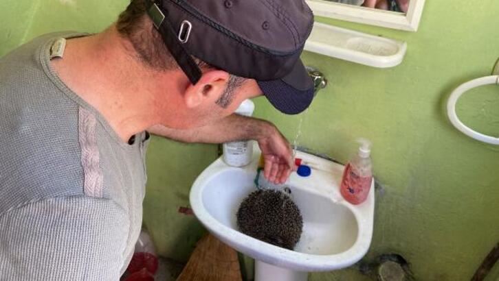 Alevlerin arasında kalan kirpi, kurtarıldı