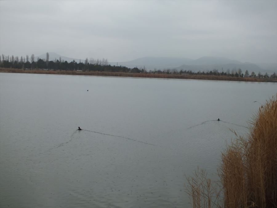 Ulaş Gölü sessizliğe büründü