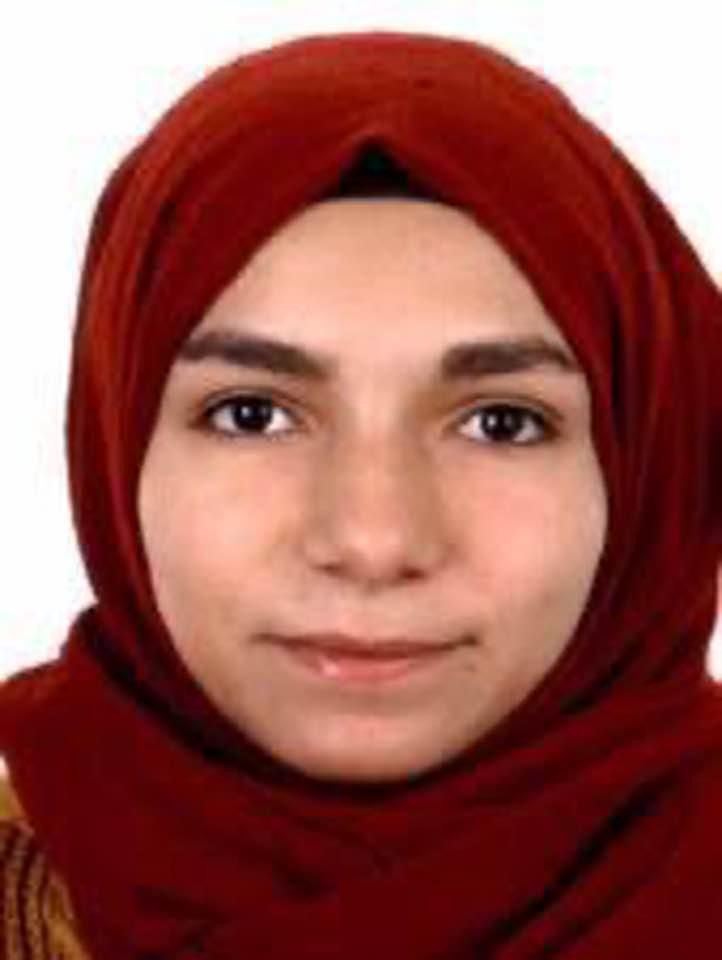 Otomobilin çarptığı Şerife öldü (Video)