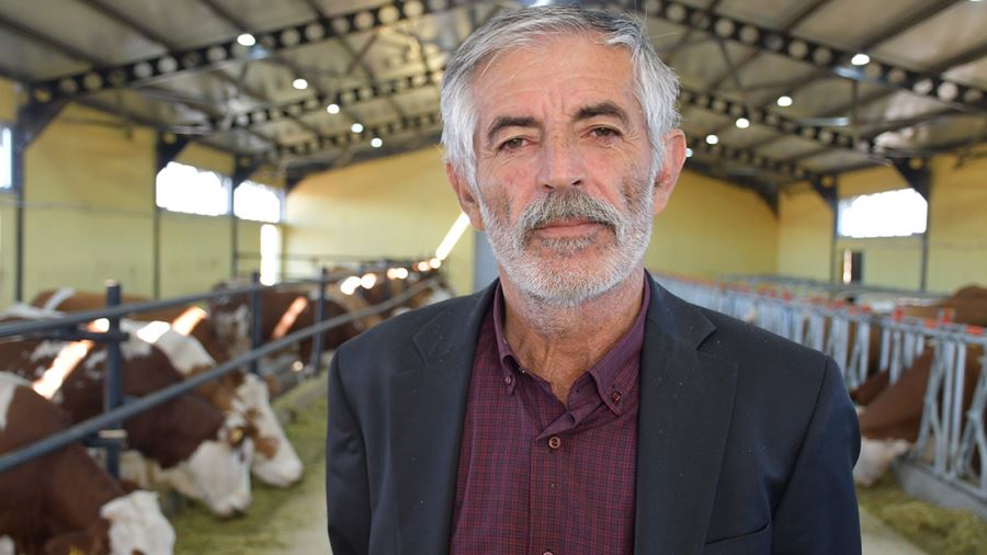 Kurdukları çiftlikte günlük 600 litre süt elde ediyorlar