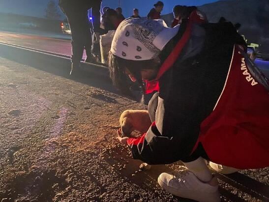 Jandarma Sokak Hayvanlarını Unutmadı