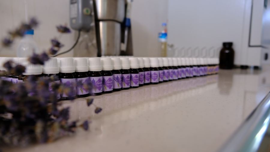 Uçucu yağ satışı başladı