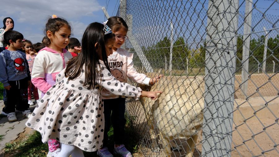 Miniklerden sevimli dostlara ziyaret (Video)