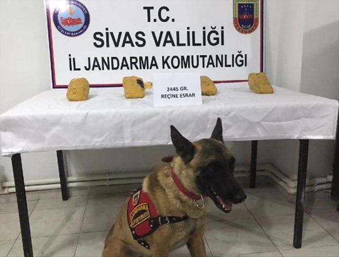 YOLCU OTOBÜSÜNDE REÇİNE ESRARA 2 GÖZALTI