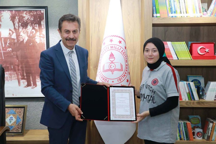 Cumhurbaşkanlığı Resim Yarışmasında Birinci Sivas'tan