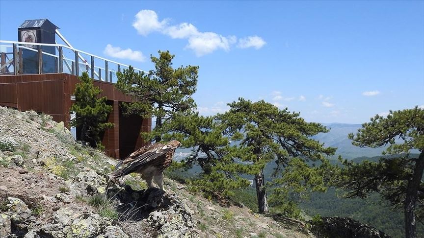 "Kaşif Şahgaga" Türkiye'ye geri döndü