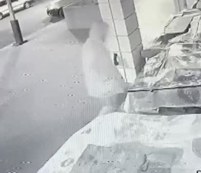 Kuru yemiş hırsızlığını güvenlik kamerasında