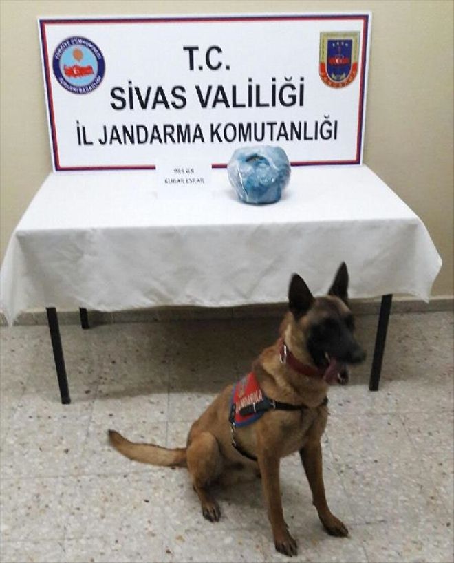 YOLCU OTOBÜSÜNDE 984 GRAM ESRAR ELE GEÇİRİLDİ