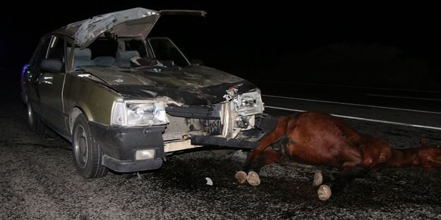 Ata çarpan otomobildeki 5 kişi yaralandı