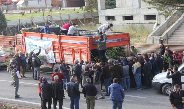 Zara'da 5 bin fidan dağıtıldı