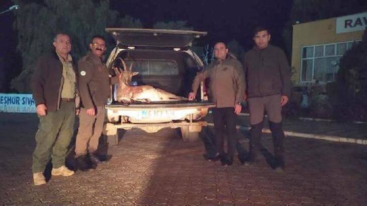 Yaban keçisi avına 256 bin TL ceza