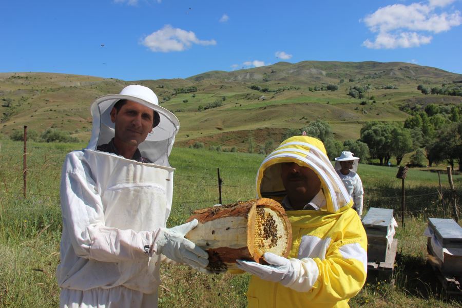 Sivas balda marka şehir olabilir
