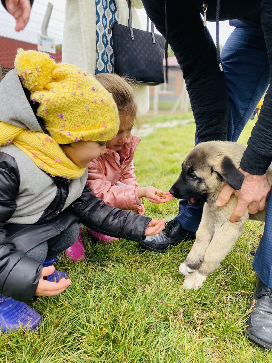 Minikler Sivas’ı yakından tanıdı