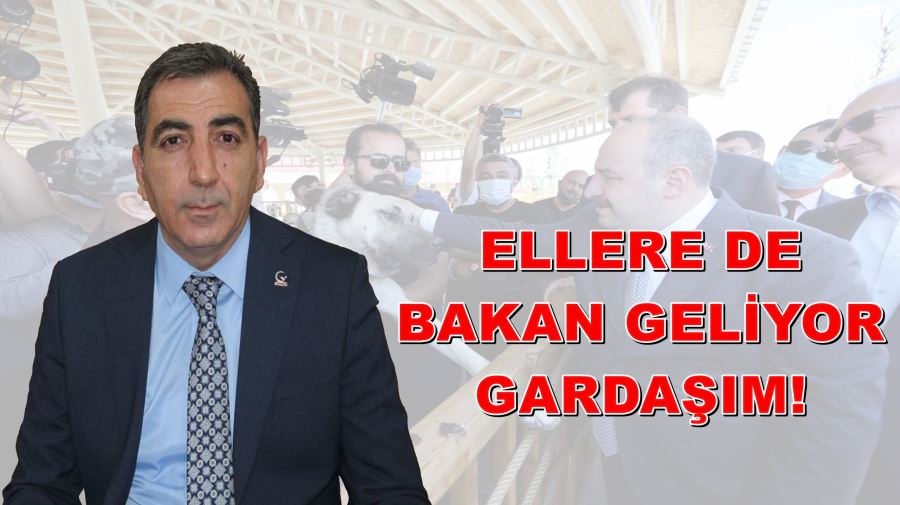 Çiçekle karşılamaya devam edin