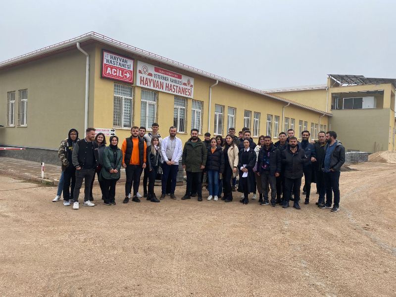 Kangal köpeği  merkezini örnek aldılar