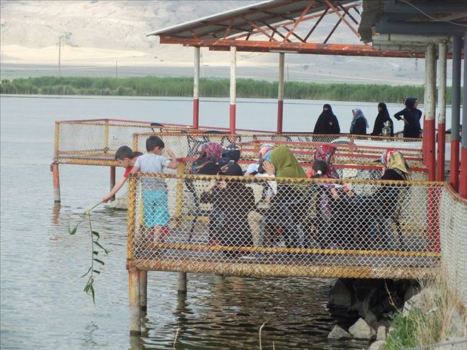 ULAŞ GÖLÜ PİKNİKÇİLERİN AKININA UĞRADI