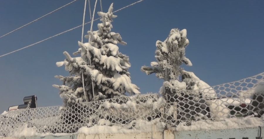 Altınyayla yine dondu (Video)