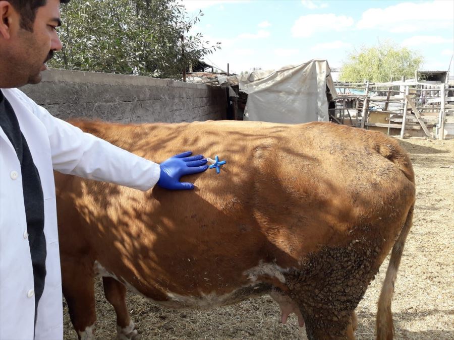 Patlamayı önleyen aparat geliştirdi